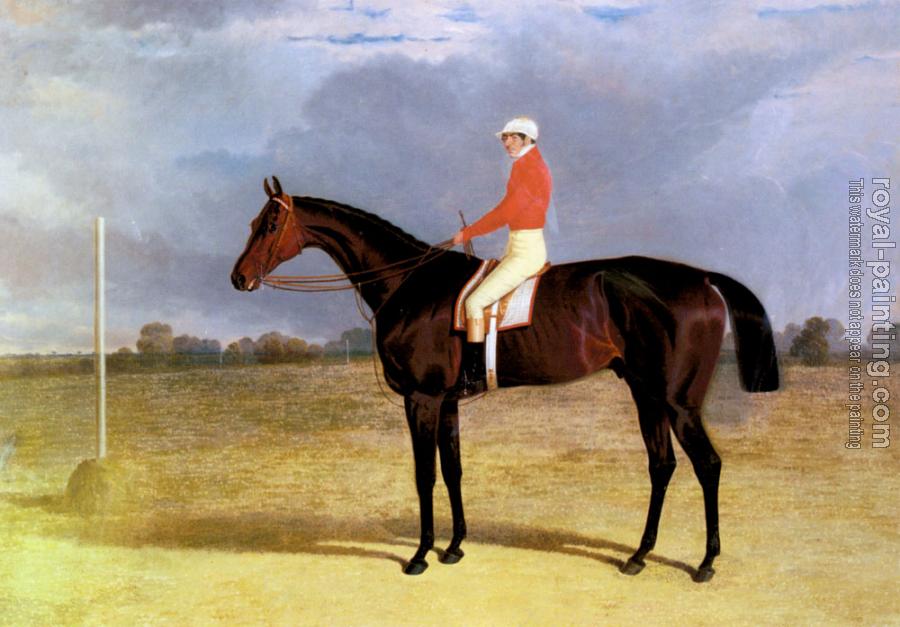 John Frederick Jr Herring : A Dark Bay Racehorse with Patrick Connolly Up